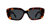 CELINE Triomphe 04 CL40216U 53A 55-15 Tortoise