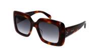 CELINE CL40263I 53B 54-19 Havana