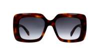 CELINE CL40263I 53B 54-19 Havana