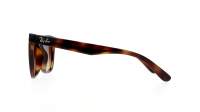 Ray-Ban RB4420 710/13 65-18 Havana
