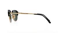 Ray-Ban RB4429 601/31 53-20 Black on Arista