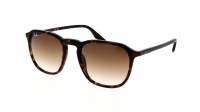 Ray-Ban RB2203 902/51 52-20 Havana