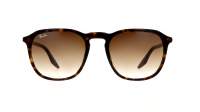 Ray-Ban RB2203 902/51 52-20 Havana