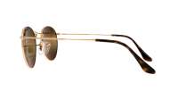 Ray-Ban Round metal RB3447 001/G5 50-21 Arista
