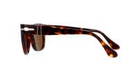 Persol Elio PO3333S 24/57 51-20 Havana