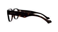 Gucci Lettering GG1429O 002 54-21 Havana Brown