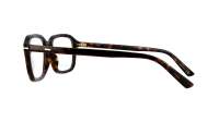 Gucci Lettering GG1446O 002 56-18 Havana Brown