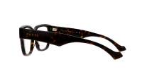Gucci Lettering GG1428O 005 55-16 Havana