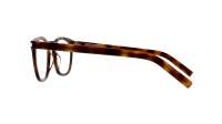 Saint Laurent Classic SL 30 SLIM 011 49-23 Havana
