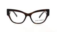 Dolce & Gabbana DG3378 502 53-17 Havana