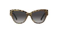 Dolce & Gabbana Dg Logo DG4449 31638G 54-16 Leo brown on black