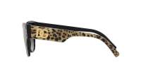 Dolce & Gabbana Dg logo DG4449 31638G 54-16 Leo brown on black