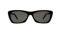 Saint Laurent New wave Asian smart fitting SL 613 002 58-16 Havana