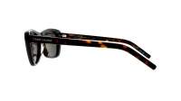 Saint Laurent New wave Asian smart fitting SL 613 002 58-16 Havana