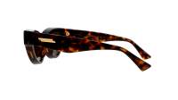 Bottega Veneta New classic BV1249S 002 53-22 Havana