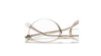 CHANEL Signature CH3413 1723 51-19 Grigio