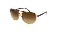 Ray-Ban Bill one RB2205 1292/M2 60-16 Havana/Transparent Brown