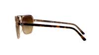 Ray-Ban Bill one RB2205 1292/M2 60-16 Havana/Transparent Brown