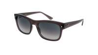 Ray-Ban RB4428 6675/71 56-21 Opal Dark Gray