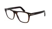 Tom Ford FT5902-B/V 052 54-17 Tortoise