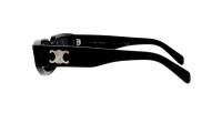 CELINE Triomphe CL40269U 01A 54-19 Nero