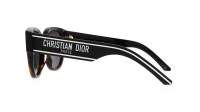 DIOR WILDIOR BU 29P0 54-21 Tartaruga
