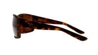Maui Jim Mangroves H604-10 60-18 Tartaruga