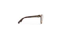 CHANEL Chaîne CH3457 C714 53-16 Dark havana