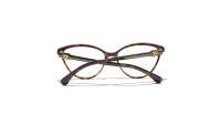 CHANEL Chaîne CH3457 C714 53-16 Dark havana
