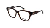 Chloé CH0200O 007 53-15 Havana