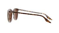 Ray-Ban RB2204 1393/57 51-20 Havana on transparent