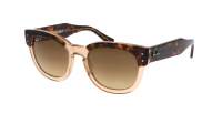 Ray-Ban Mega hawkeye RB0298S 1292/M2 53-21 Havana on transparent Brown
