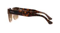 Ray-Ban Mega hawkeye RB0298S 1292/M2 53-21 Havana on transparent Brown