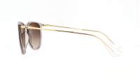 Ray-Ban Erika RB4171 6744/13 54-18 Transparent light brown