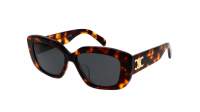 CELINE Triomphe 04 CL40216U 53A 55-15 Tortoise