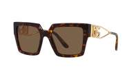 Dolce & Gabbana DG4446B 502/73 53-19 Havana