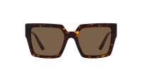Dolce & Gabbana DG4446B 502/73 53-19 Havana