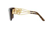 Dolce & Gabbana DG4446B 502/73 53-19 Havana