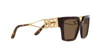 Dolce & Gabbana DG4446B 502/73 53-19 Havana