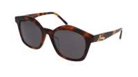 Loewe Curvy LW40079U 52A 55-19 Tortoise