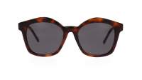 Loewe Curvy LW40079U 52A 55-19 Tartaruga