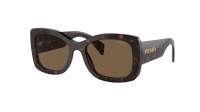 Prada PR A08S 16N5Y1 56-20 Briar Tortoise