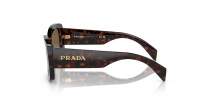 Prada PR A08S 16N5Y1 56-20 Briar Tortoise
