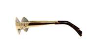 CELINE Triomphe metal 02 CL40254U 30N 54-16 Gold