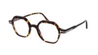 Tom Ford FT5900-B/V 056 46-21 Tartaruga