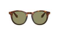 Giorgio Armani AR8192 5988/14 50-21 Havana Red