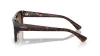 Prada PR A10S 17N-01D 57-19 Havana