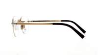 DIOR Diamond CD DIAMONDO S5U B300 52-17 Oro