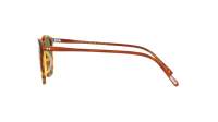 Oliver peoples Finley 1993 OV5491SU 174252 48-20 Sugi tortoise