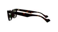 Gucci Lettering GG1539S 002 55-19 Tartaruga